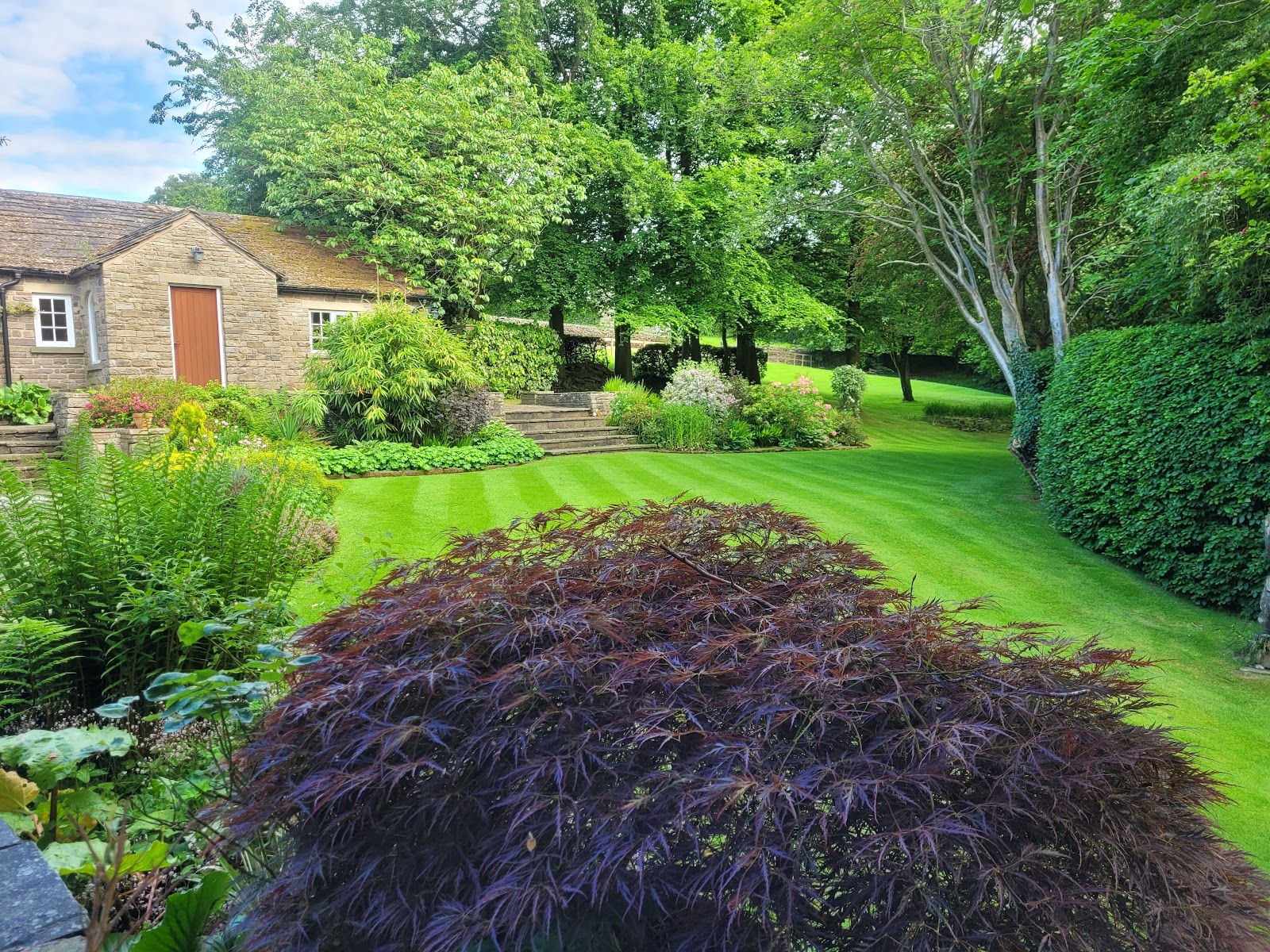 A sweeping lawn and mixed borders framing a stone cottage, with a deep-red Japanese acer in the foreground.