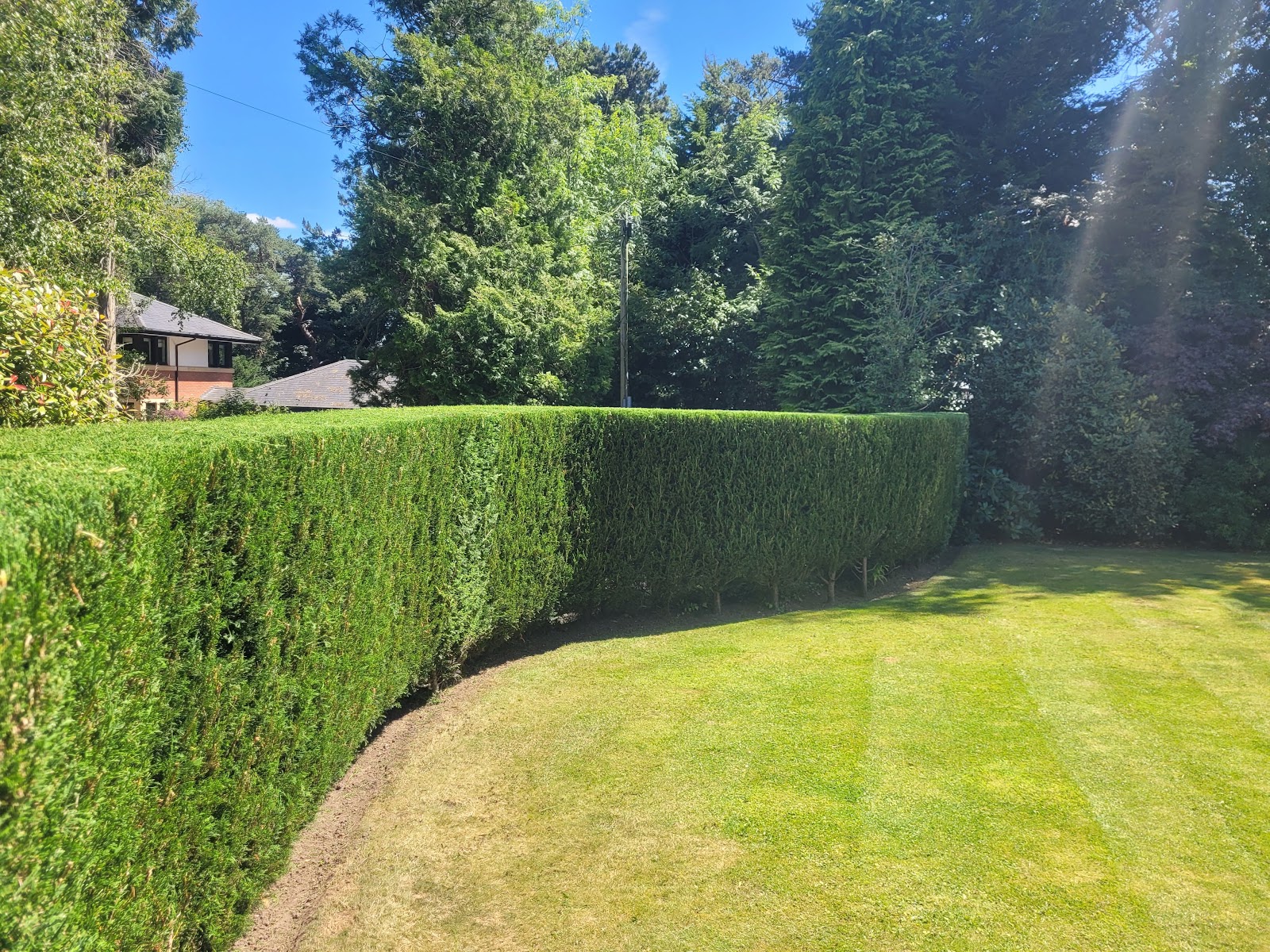 A difficult hedge, made a good job of