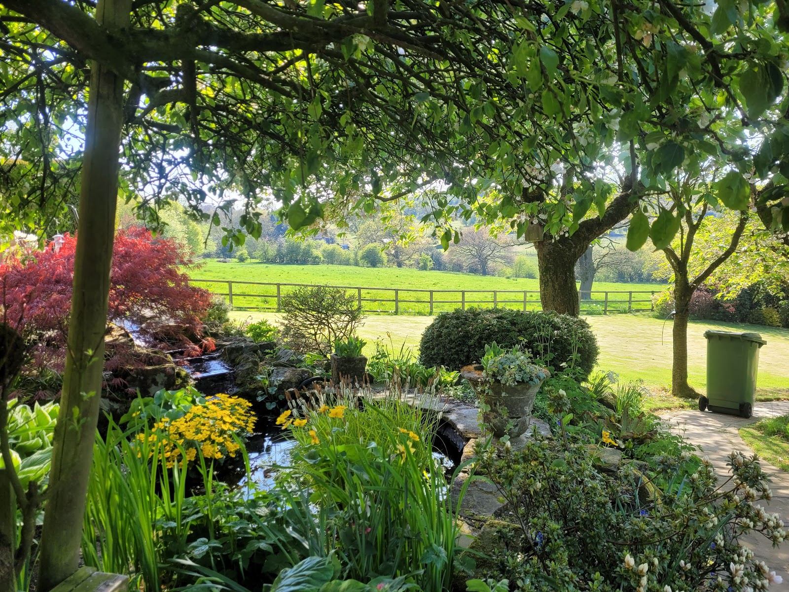 A wildlife pond and mixed planting under a mature acer, opening onto open Cheshire countryside beyond.